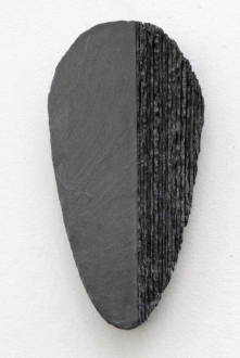 Vrucht